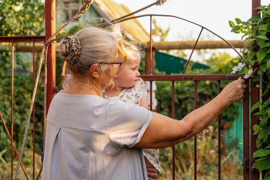 Grandmother Showing White Garden Flower To Young Granddaughter