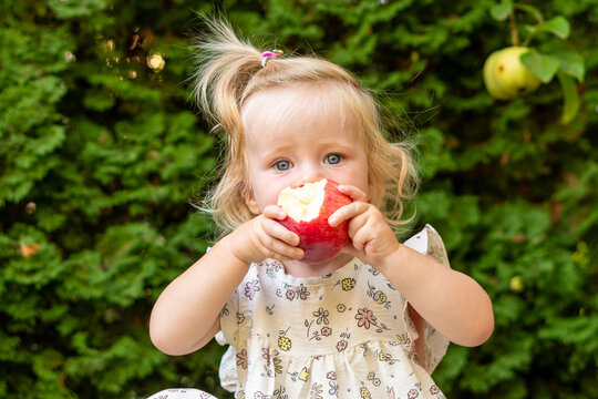 Young Girl Eating Large Red Apple In Garden