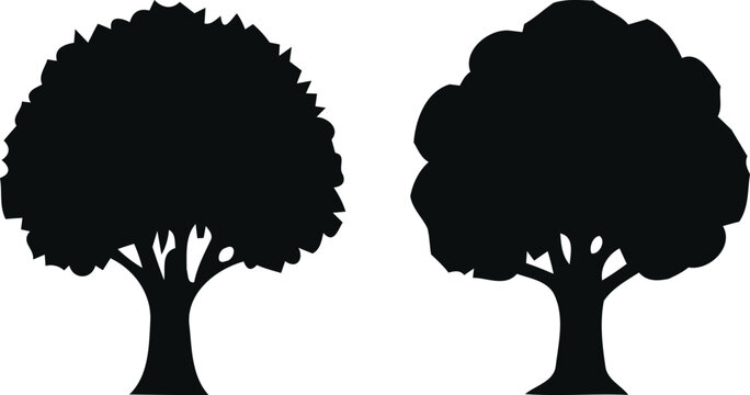 Two black silhouettes of deciduous trees with different crown shapes on a white background for nature designs