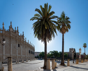 Sevilla Cathedral and Palm Trees © Elie