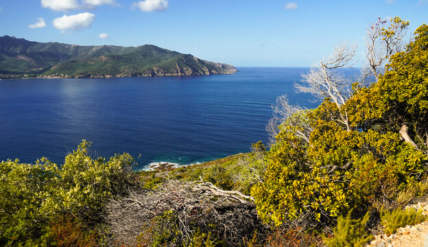 Il golfo di Galeria nella costa occidentale della Corsica con la torre genovese detta Calcinaggia e la spiaggia di sabbia nera della Ricciniccia sulla foce del fiume Fango