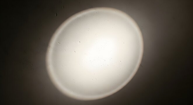 Single Egg yolk glowing with soft light against a dark background with bokeh and selective focus for food concepts