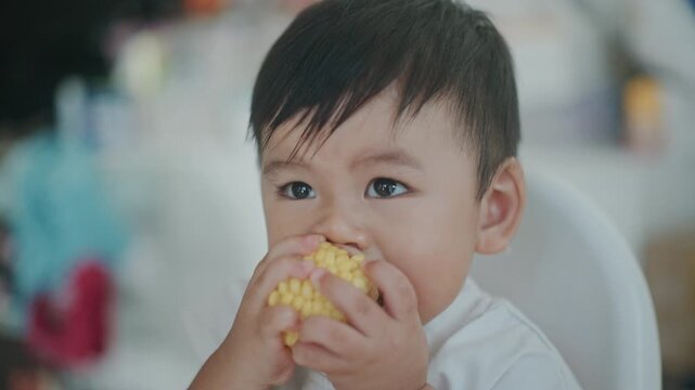 4K Happy Little Asian Toddler Sitting on High Chair and Eating Boiled Corn