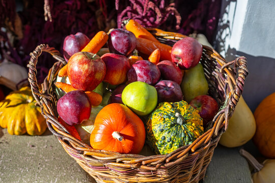Wicker basket filled with red and green apples, pumpkins and fresh carrots, colorful autumn harvest assortment with seasonal fruits and vegetables.