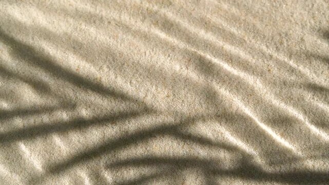 Slow motion water surface ripples and splash with palm tree leaf shadow on sand