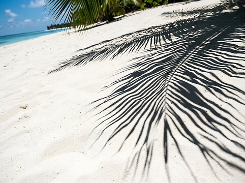 IA generated palm tree leaf shadow cast on white sand beach with sunny turquoise ocean background.