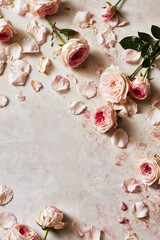Fototapeta premium Pink roses and delicate petals spread across a textured surface, forming an elegant and romantic floral backdrop for various concepts
