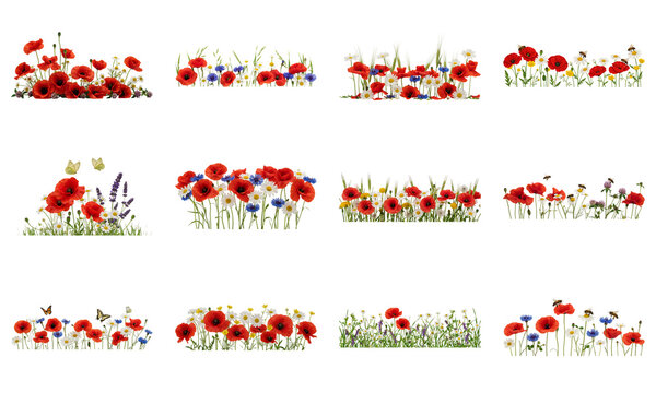 Set of colorful floral borders with red poppies and wild summer flowers