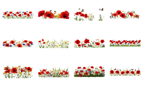 Set of colorful floral borders and wildflower frames for spring design