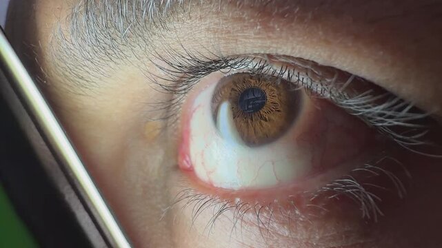 Extreme close up of a brown human eye blinking with detailed iris eyelashes eyelid and natural reflections in the pupil