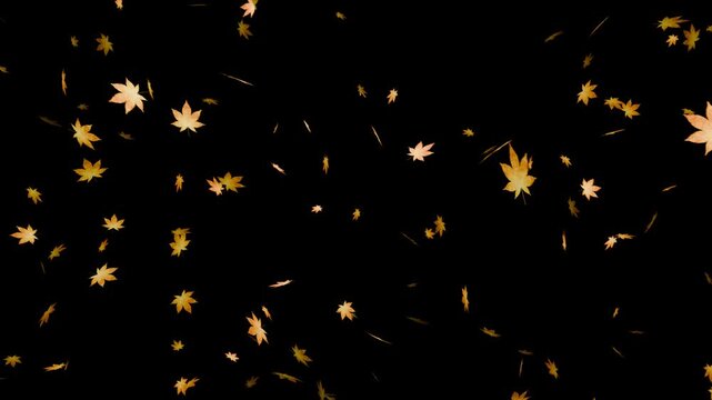 黄色く色づいた紅葉が漆黒空間をゆっくり舞い落ちる10秒4Kループ動画。秋の観光広告や季節イベント、和風映像演出に最適なシネマティック素材