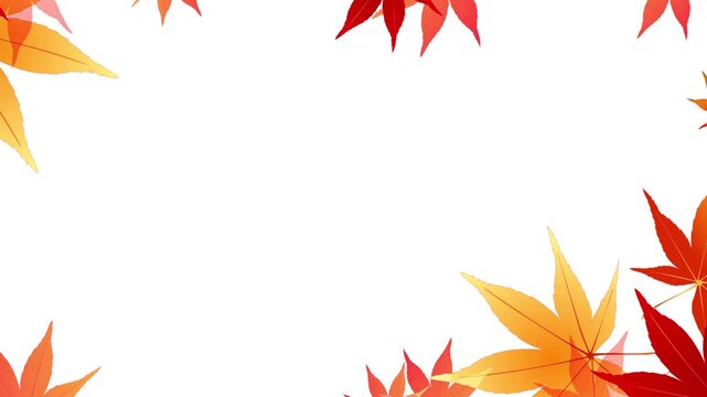 Colorful Maple Leaves Border Frame 4K