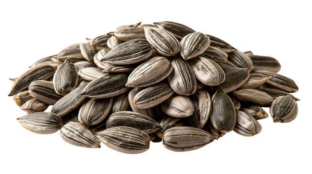 Heap of raw organic sunflower seeds with striped shells