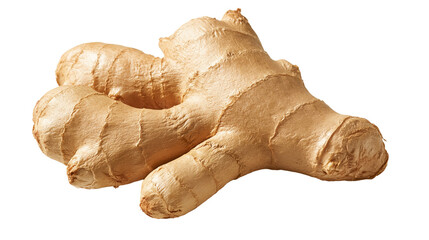 Fototapeta premium Fresh raw ginger root rhizome with textured beige skin