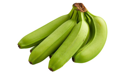 Fresh raw green unripe bananas bunch with brown stem © Veikko