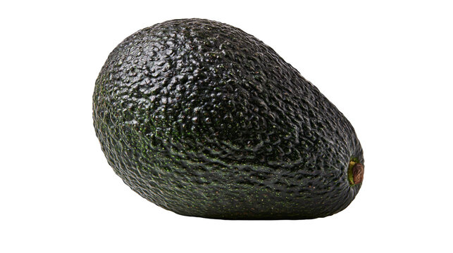 Ripe whole Hass avocado with dark bumpy textured skin