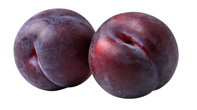 Two fresh ripe purple plums with smooth skin