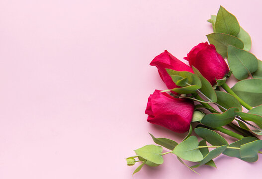 Red roses bouquet with eucalyptus on pink background