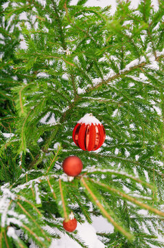 Festive pine tree decoration captured with a red ornaments