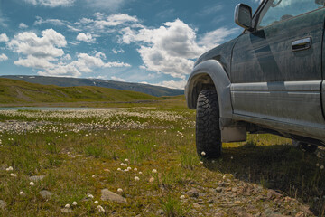 Close up low angle view of an off-road 4x4 suv car parked near a field of white cottongrass flowers, overlanding concept © ANDREY
