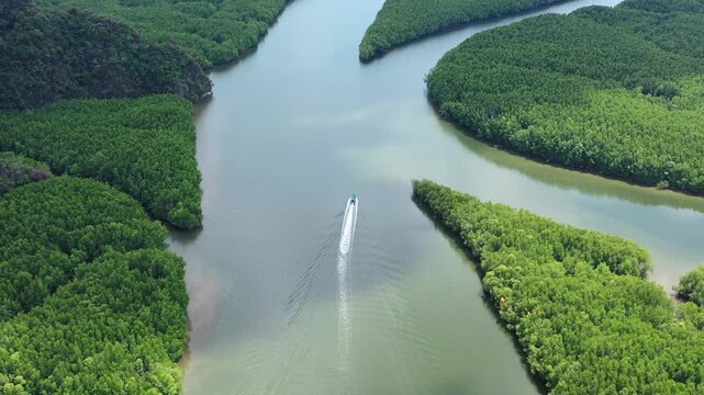Traditional Thai Longtail Boat Cruising Through Mangroves in Phang Nga Bay, Thailand