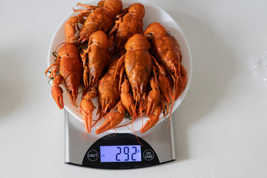 A top view of delicious red boiled crawfish on a plate placed over digital kitchen scales showing 292 grams. Healthy seafood meal preparation, portion control, cooking and dieting concept photography.