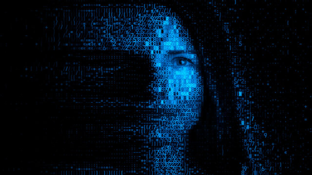 Woman's Face made of Source Data. Biometric Border Control Concept.