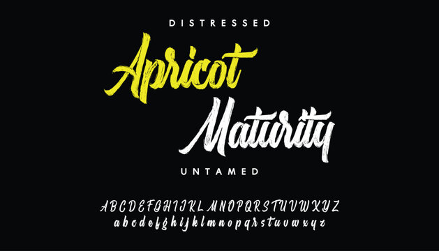 Bold brush drawn capital alphabet letters. Brush drawn font, uppercase typeface for punk or rock and roll design. Typographic distressed vector font with dry brush texture.