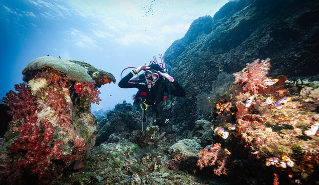 Female scuba diver exploring a vibrant underwater coral reef