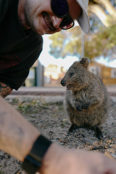 Smiling man taking a selfie with a quokka eating a green leaf