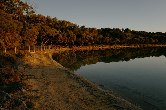 Calm lake reflecting trees in warm golden sunset light