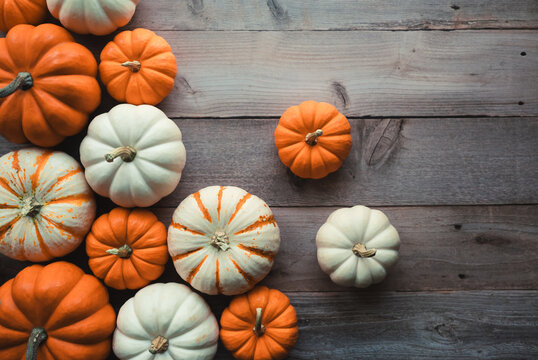 Colorful fall mini pumpkins on a rustic wooden background