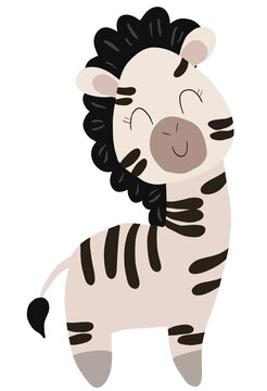 zebra