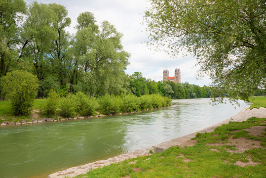 green willow trees beside Isar river. view to Maximilian church. park landscape munich