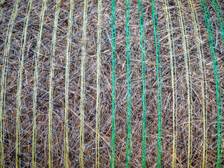 Close-up of a round hay bale secured with green and yellow baling net, showing compressed dry grass texture and agricultural packaging pattern. © Marek