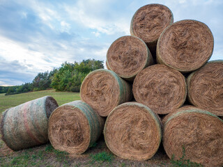 Stacked round hay bales secured with green netting on a rural field. Dry grass rolls stored after harvest for livestock feed, with countryside and cloudy sky. © Marek