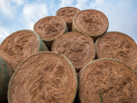 Stacked round hay bales reinforced with green netting, viewed from below against blue cloudy sky. Agricultural fodder stored after harvest on a farm.