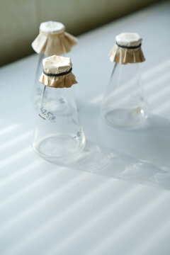 Empty glass Erlenmeyer flasks with paper caps in a bright science laboratory