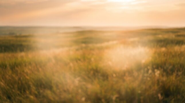 Soft focus view of golden wild grasses in a vast meadow under a hazy sunset sky with warm atmospheric light, creating a beautiful bokeh background for nature and tranquil landscape concepts.