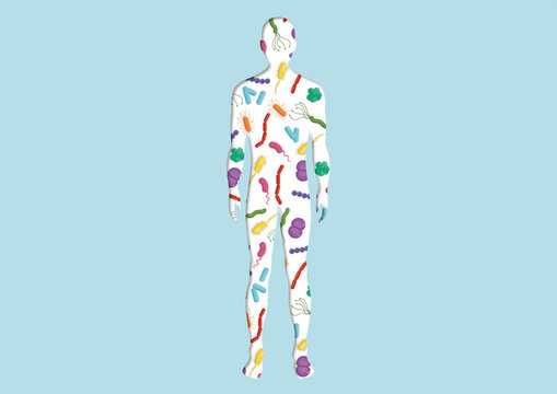 Human microbiota, conceptual illustration