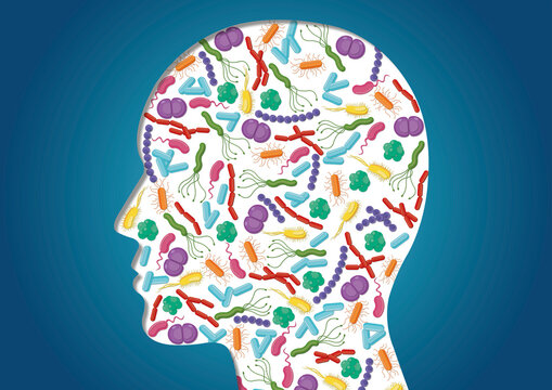 Human microbiota, conceptual illustration
