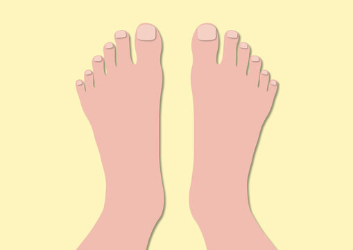Polydactyl feet, conceptual illustration