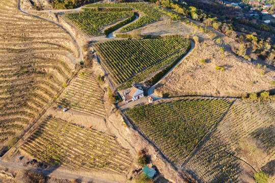 Winding road through Vineyards with house in tokaj, Hungary