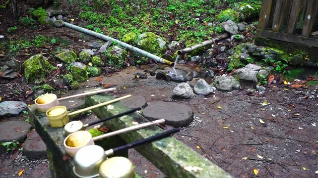 熊本・幣立神宮の境内に湧き出る清らかな御神水と静けさに包まれた手水舎