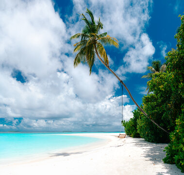 Leaning palm tree with beach swing on white sand tropical beach with turquoise ocean and cloudy blue sky