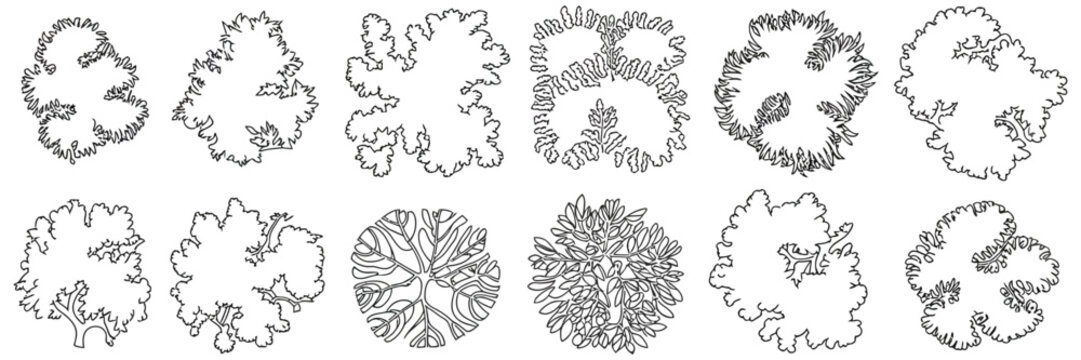 Vegetation CAD Blocks, Diverse 2D Top View Tree Symbols for Architectural Site Plans and Landscape Design Layouts