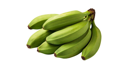 Bunch of fresh raw green plantains with firm peel © Matthias
