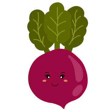 vector illustration of beetroot