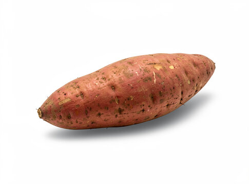 Sweet potato root, roasted to enhance its natural sweetness. A versatile and nutritious root vegetable used in roasted dishes, casseroles, or as a healthy side dish.