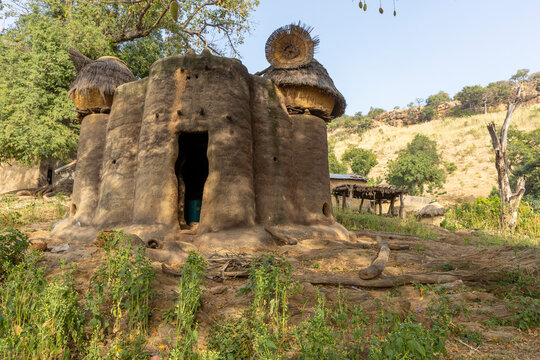 Mud tower house with thatched granaries, Tamberma, Togo